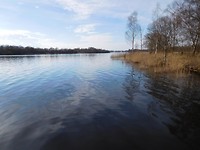 Paterswoldse meer