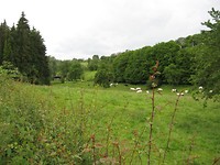 dal van de Julienne