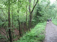 bos na Esneux