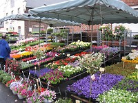 de kleurrijke markt van Andenne