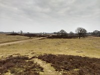 Balloër veld
