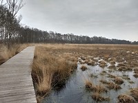 vlonderpad bij Balloërveld