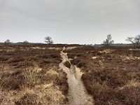 Gasterse Duinen