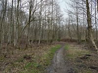 Houtigehage