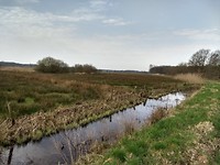 Het Hongerveld