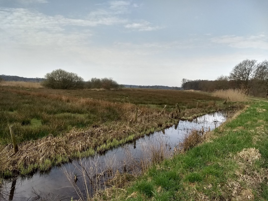 Het Hongerveld