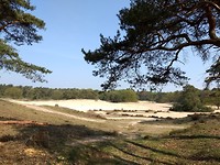 Zandverstuiving bij Soest