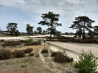 Heide bij Soest