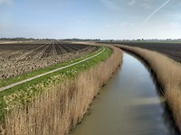 Pad langs Pieterbuurster-maar