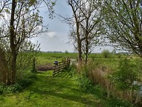 mooi plaatje