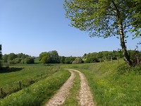 Mooi pad