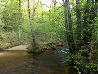 Bruggetje naast doorwaadbare plaats