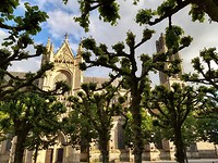 Kathedraal Limoges 2