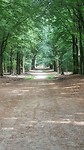 Rechte laan 1