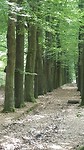 Rechte laan 2