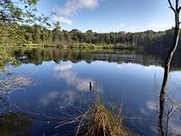 ven tussen Westlaren en Schipborg