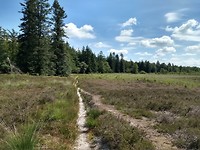 Landgoed Terborgh