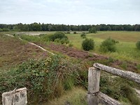 uitzichtpunt Buikheide
