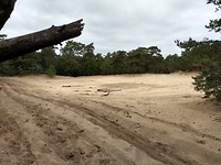 zandpaden op de Oirschotse heide