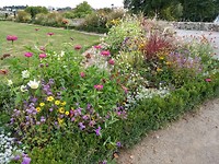Botanische tuin Limoges