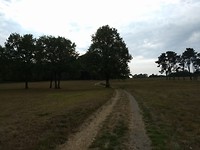Mooie paden