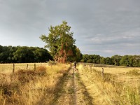 Op de hoogvlakte