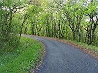 Een mooi, rustig, slingerend weggetje