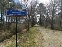 We lopen Les Landes in