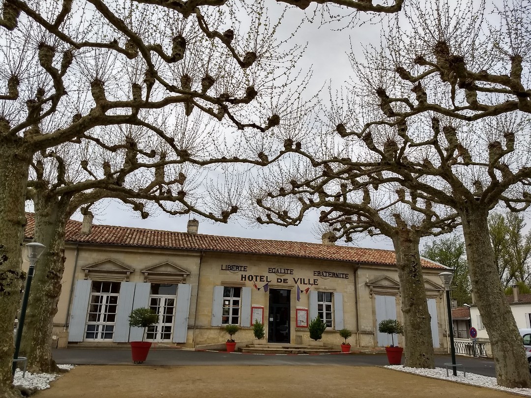 Mairie van Captieux met uitlopende platanen