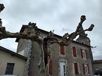Kerkje en oude bomen in Sainte Etienne