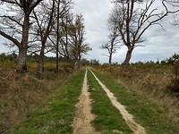 Weer wat natuur ...
