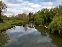 De Luy de Bearn