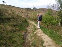 Heerlijk pad