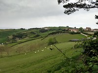 Landelijk stukje wandeling