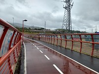 Heel lange fiets/voetbrug over verkeersknooppunten