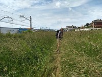 Graspad langs spoorbaan