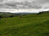 Het landschap voor Solvay