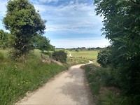 Fijn wandelpad