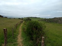 Bij punta de la Atalaya