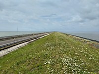 Een heel lang graspad op de dijk. Het uitzicht voor 6 uur.