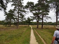 Een stukje heide op weg naar Borne