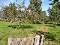 Door de boomgaard