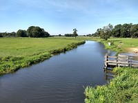 De Regge