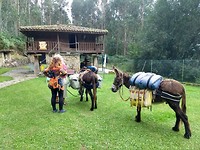 Barbara en ezels