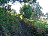 Eindelijk weer natuur
