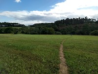 Dwars door de velden