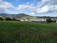 Navia