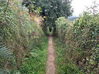 Leuke route naar Montonedo