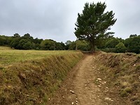 Galicisch platteland