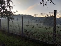 Kruisjes i.p.v. slotjes in het hek